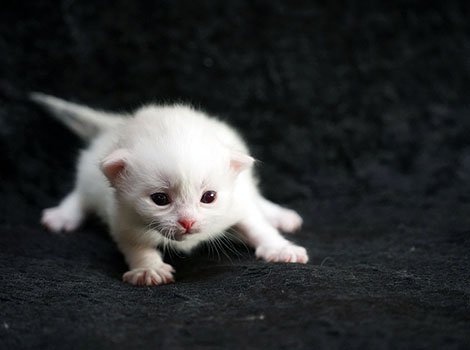 Olga am 8. März 2025